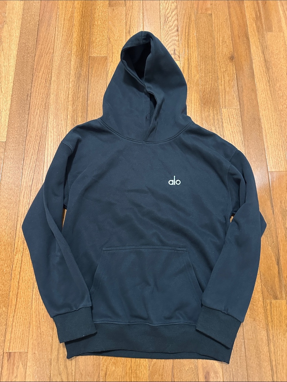 EUC ALO Hoodie